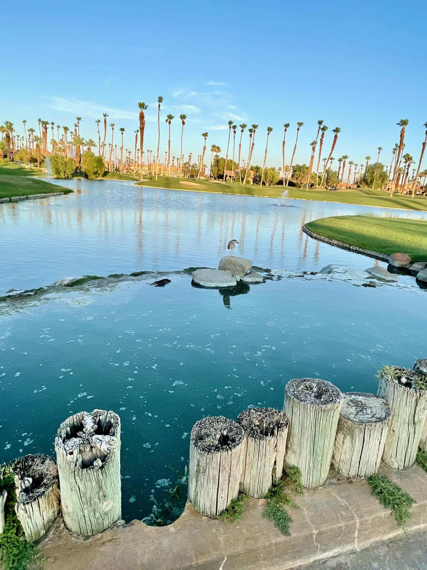 The View! Palm Desert Country Club Villa Exterior photo