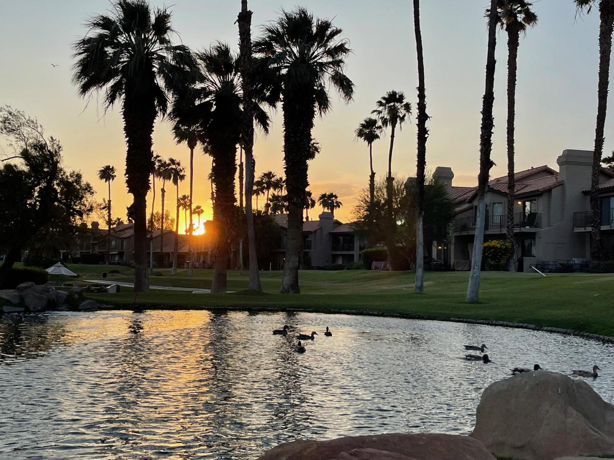 The View! Palm Desert Country Club Villa Exterior photo